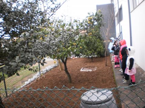 Como tem estado muito mau tempo, a D. Fernanda  veio preparar a nossa horta, que se encontrava danificada devido às obras que decorreram (durante muitos meses) no edifício ao lado.